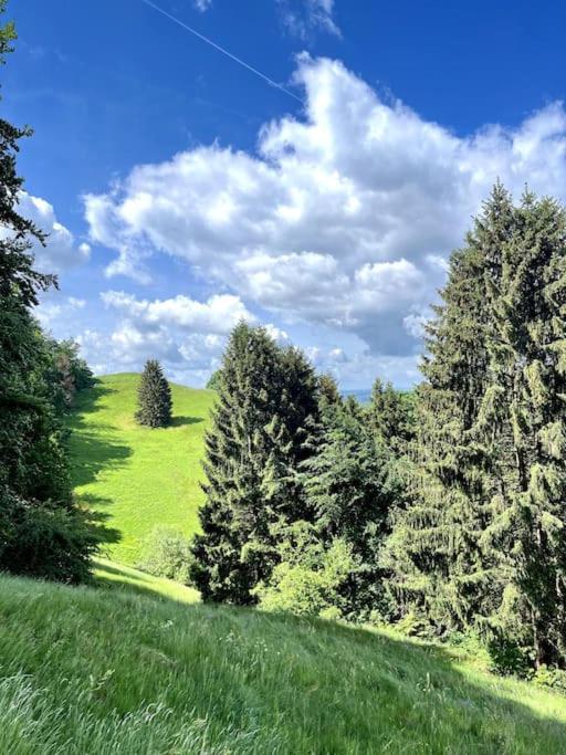 Ferienwohnung Am Hang Mit Malerischer Aussicht Osterode am Harz Exterior photo