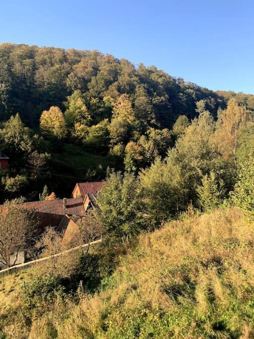 Ferienwohnung Am Hang Mit Malerischer Aussicht Osterode am Harz Exterior photo